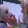 Florine retrouve son chien Shakespeare dans la quotidienne de Secret Story 7 sur TF1 le vendredi 12 juillet 2013