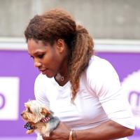 Serena Williams : Accro à son chien, la numéro un de tennis prend l'air nordique