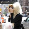 Amanda Bynes à New York le 10 juillet 2013. La jeune actrice se cache des photographes avec son chien.
