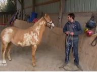 L'amour est dans le pré 8 : Thomas s'exprime enfin sur la mort de son cheval