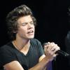 Harry Styles au Verizon Center de Washington, le 23 juin 2013.