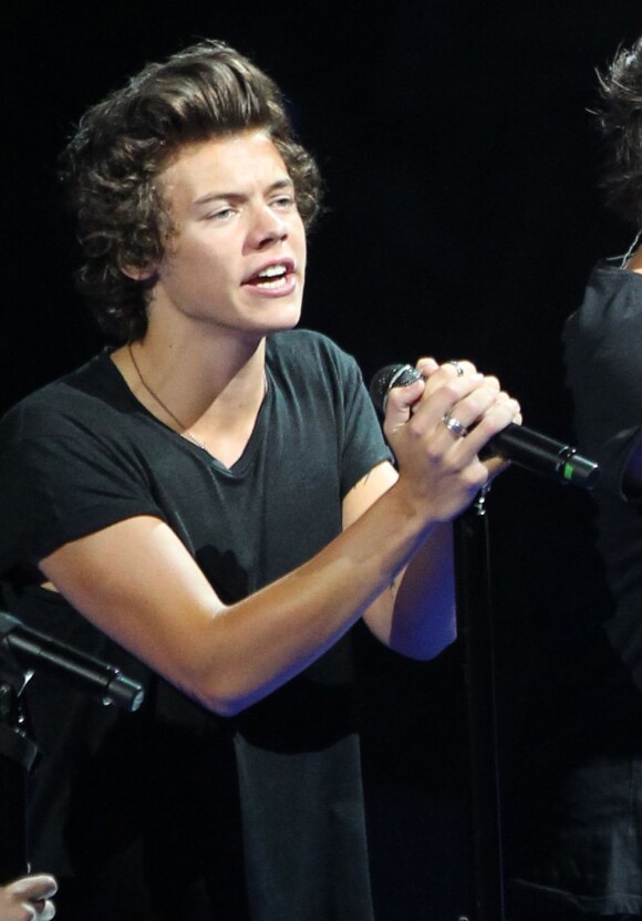 Harry Styles au Verizon Center de Washington, le 23 juin 2013.