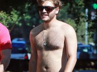 Emile Hirsch : Débraillé et bedaine relâchée, mais où est passé le sex-symbol ?