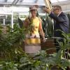 La reine Maxima des Pays-Bas à Leyde le 4 septembre 2013 pour inaugurer après rénovation les serres tropicales de Hortus Botanicus Leiden, l'un des plus vieux jardins botaniques