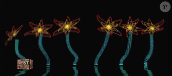 Les Lightwire Theater (Finale de The Best : le meilleur artiste - vendredi 13 septembre 2013)