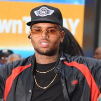 Chris Brown : Accusé de violences envers un fan, il est finalement libéré !