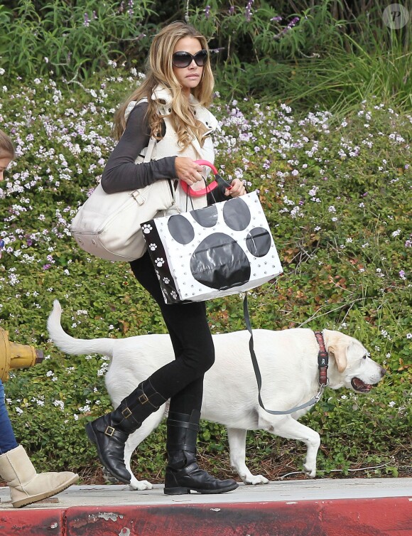 Denise Richards promène son chien dans les rues de Beverly Hills, le 23 novembre 2013
