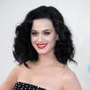 Katy Perry sur le tapis rouge des "American Music Awards 2013" à Los Angeles, le 24 novembre 2013.