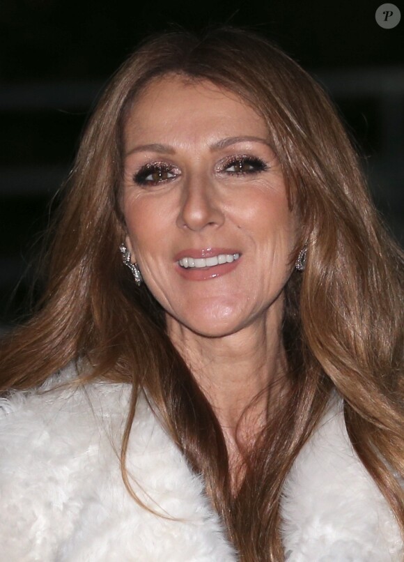 Céline Dion quitte son hôtel pour se rendre sur le plateau de l'émission "Vivement Dimanche" à Paris. Le 13 novembre 2013.