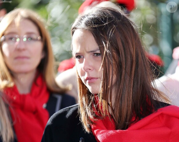 La princesse Stéphanie de Monaco, avec sa fille Pauline Ducruet et son frère le prince Albert II, prenait part le 29 novembre 2013, à deux jours de la Journée mondiale contre le sida, à une commémoration sur le parvis du Musée océanographique de Monte-Carlo. En présence de membres et d'affiliés de l'association Fight Aids Monaco présidée par la princesse, huit courtepointes ont été déployées en hommage aux malades décédés.