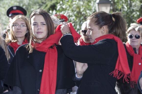 Pauline Ducruet s'est jointe à sa mère la princesse Stéphanie de Monaco, au prince Albert II et à des membres de Fight Aids Monaco le 29 novembre 2013 pour une commémoration sur le parvis du Musée océanographique de Monte-Carlo, à deux jours de la journée mondiale contre le sida. Huit courtepointes ont été déployées en hommage aux malades décédés.