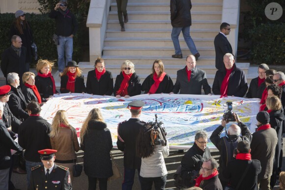 Pauline Ducruet s'est jointe à sa mère la princesse Stéphanie de Monaco, au prince Albert II et à des membres de Fight Aids Monaco le 29 novembre 2013 pour une commémoration sur le parvis du Musée océanographique de Monte-Carlo, à deux jours de la journée mondiale contre le sida. Huit courtepointes ont été déployées en hommage aux malades décédés.