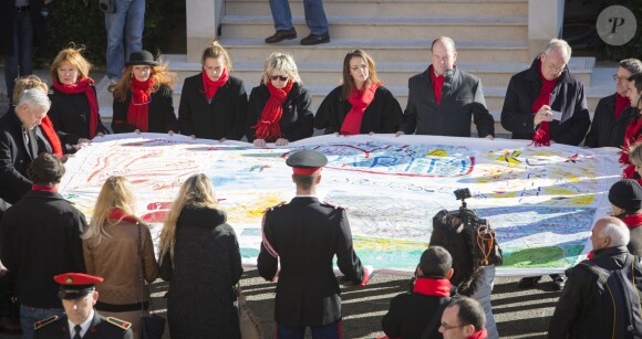 Pauline Ducruet s'est jointe à sa mère la princesse Stéphanie de Monaco, au prince Albert II et à des membres de Fight Aids Monaco le 29 novembre 2013 pour une commémoration sur le parvis du Musée océanographique de Monte-Carlo, à deux jours de la journée mondiale contre le sida. Huit courtepointes ont été déployées en hommage aux malades décédés.