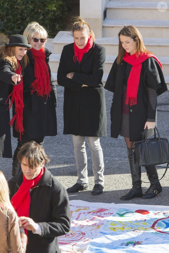 Pauline Ducruet s'est jointe à sa mère la princesse Stéphanie de Monaco, au prince Albert II et à des membres de Fight Aids Monaco le 29 novembre 2013 pour une commémoration sur le parvis du Musée océanographique de Monte-Carlo, à deux jours de la journée mondiale contre le sida. Huit courtepointes ont été déployées en hommage aux malades décédés.