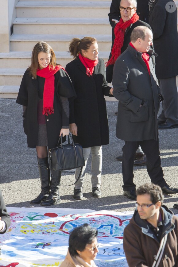 Pauline Ducruet s'est jointe à sa mère la princesse Stéphanie de Monaco, au prince Albert II et à des membres de Fight Aids Monaco le 29 novembre 2013 pour une commémoration sur le parvis du Musée océanographique de Monte-Carlo, à deux jours de la journée mondiale contre le sida. Huit courtepointes ont été déployées en hommage aux malades décédés.
