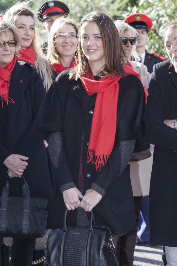 Pauline Ducruet s'est jointe à la princesse Stéphanie de Monaco, au prince Albert II et à des membres de Fight Aids Monaco le 29 novembre 2013 pour une commémoration sur le parvis du Musée océanographique de Monte-Carlo, à deux jours de la journée mondiale contre le sida. Huit courtepointes ont été déployées en hommage aux malades décédés.