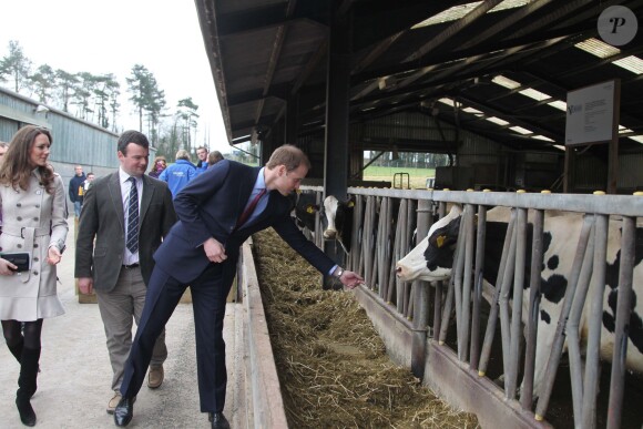 Le prince William et Kate Middleton lors d'une visite, en mars 2011, sur le Campus Greenmount, une école d'agriculture à Antrim, en Irlande.
