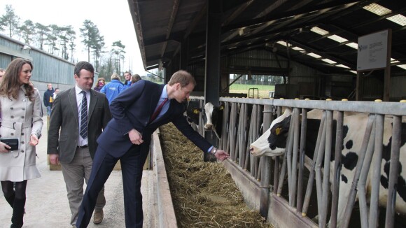 Prince William : Etudiant en agriculture, il doit se séparer de Kate et George
