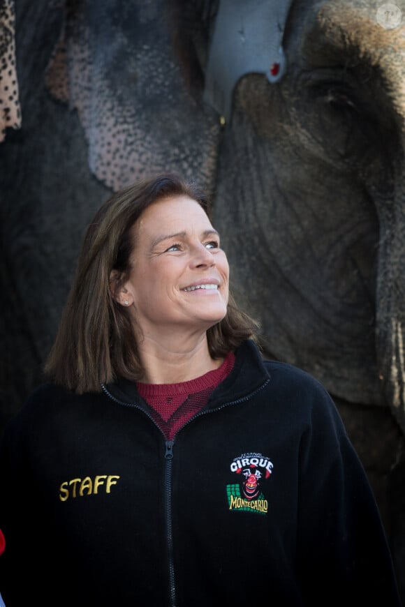 La princesse Stéphanie de Monaco lors de la présentation du 38e Festival International du Cirque de Monte-Carlo, le 15 janvier 2014, à la veille de l'ouverture de l'événement (16-26 janvier) sous le chapiteau Fontvieille.