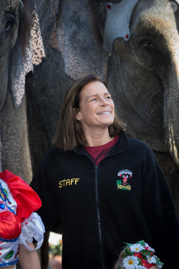 La princesse Stéphanie de Monaco lors de la présentation du 38e Festival International du Cirque de Monte-Carlo, le 15 janvier 2014, à la veille de l'ouverture de l'événement (16-26 janvier) sous le chapiteau Fontvieille.