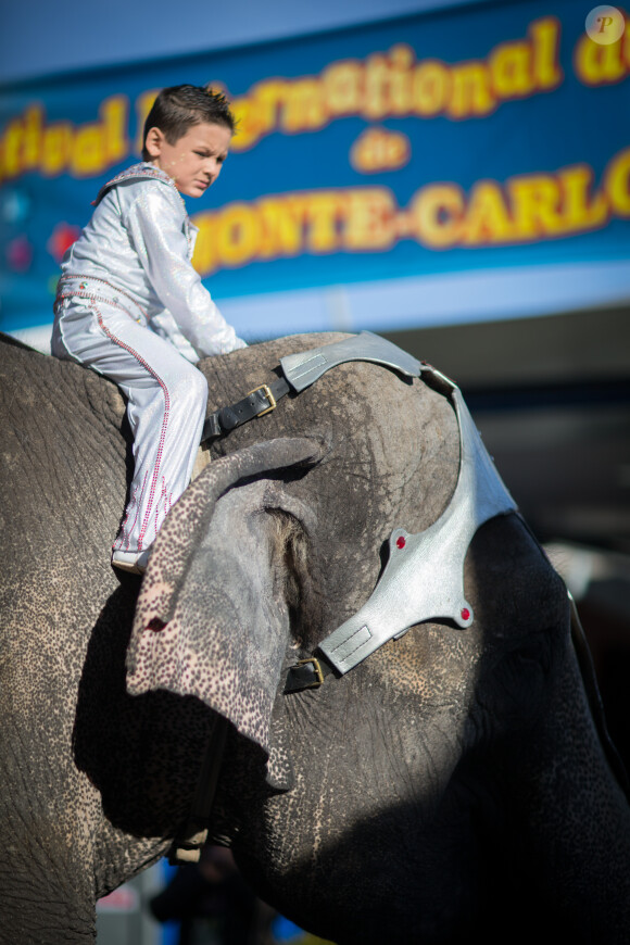 Image de la présentation du 38e Festival International du Cirque de Monte-Carlo, en présence de sa présidente la princesse Stéphanie de Monaco, le 15 janvier 2014, à la veille de l'ouverture de l'événement (16-26 janvier) sous le chapiteau Fontvieille.