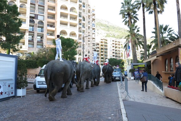 Image de la présentation du 38e Festival International du Cirque de Monte-Carlo, en présence de sa présidente la princesse Stéphanie de Monaco, le 15 janvier 2014, à la veille de l'ouverture de l'événement (16-26 janvier) sous le chapiteau Fontvieille.