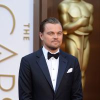 Leonardo DiCaprio et la malédiction des Oscars : La défaite du Loup