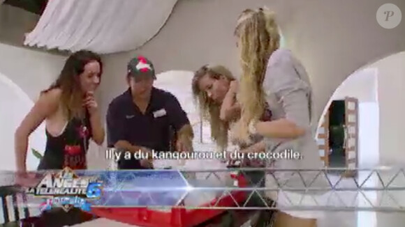 Les Anges de la télé-réalité 6 en Australie. Episode diffusé le 11 mars 2014 sur NRJ 12.