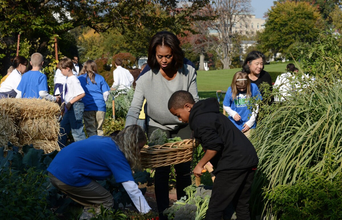 Photo : Michelle Obama dans le jardin potager de la Maison Blanche le ...