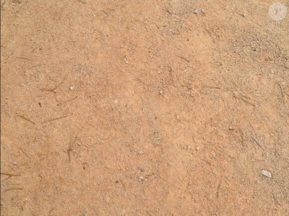 L'indice de Laetitia Milot.