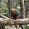 Le nouveau Zoo de Vincennes métamorphosé après quatre années de travaux, va rouvrir ses portes le 12 avril. Il abrite désormais environ 180 espèces et plus d'un millier d'animaux, classés par leur milieu d'origine, les "biozones". Mammifères, oiseaux, reptiles, amphibiens : le parc mise sur la biodiversité. Un parcours de 4 kilomètres invitera les visiteurs à découvrir les paysages de cinq zones géographiques : Sahel-Soudan, Patagonie, Europe, Amazonie-Guyane, Madagascar.