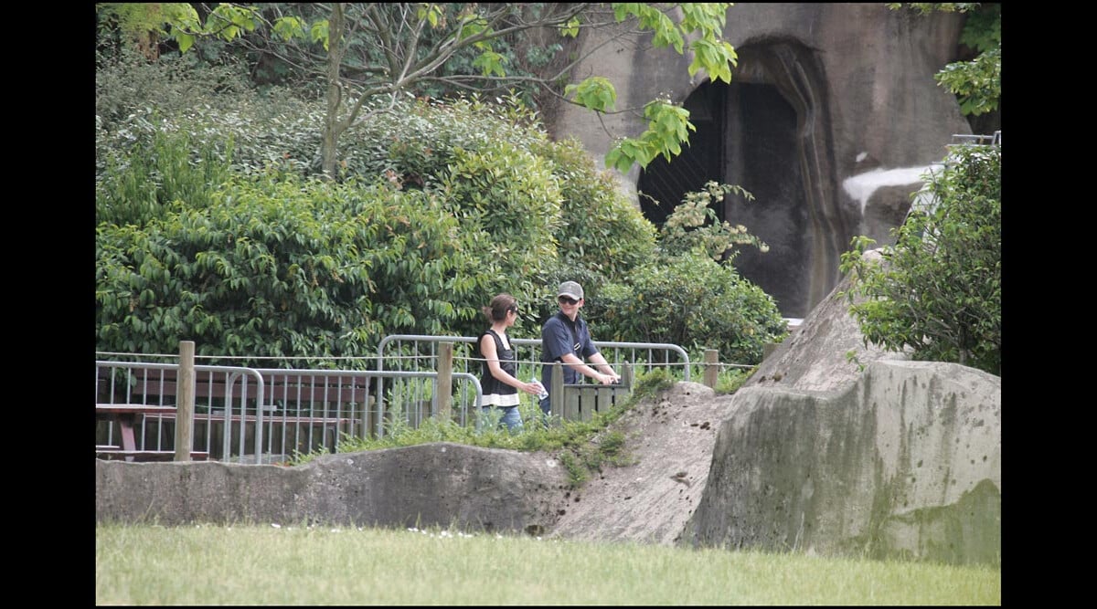 Photo Le nouveau zoo de Vincennes métamorphosé après quatre années de travaux, va rouvrir ses