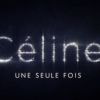 Céline Dion sur scène, aux Plaines d'Abraham au Québec, en juillet 2013 pour le concert Céline Dion... une seule fois.