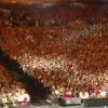 Céline Dion sur scène, aux Plaines d'Abraham au Québec, en juillet 2013 pour le concert Céline Dion... une seule fois.