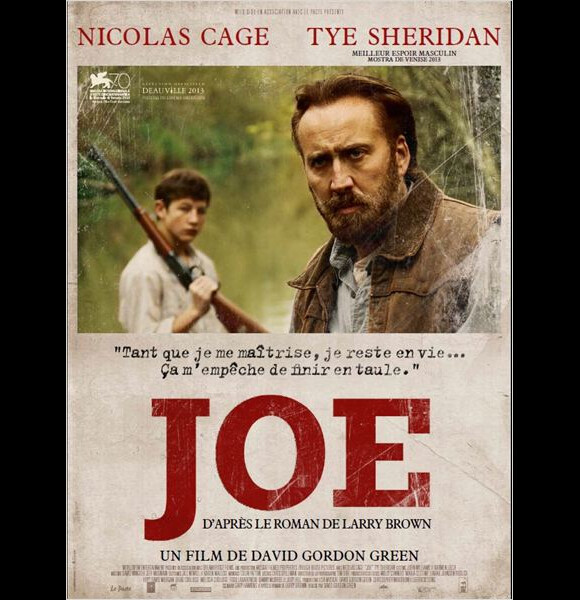 Affiche du film Joe