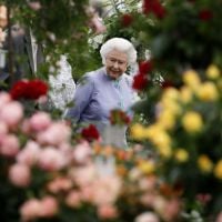 Elizabeth II et Beatrice d'York : Visiteuses épanouies au Chelsea Flower Show