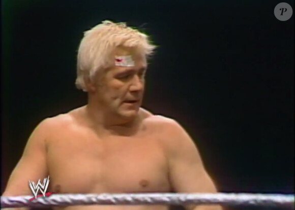 Pat Patterson, icône de la WWE, a fait son coming-out à 73 ans lors d'une émission télé diffusée en juin 2014.
