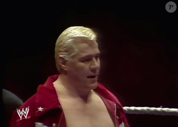 Pat Patterson, icône de la WWE, a fait son coming-out à 73 ans lors d'une émission télé diffusée en juin 2014.