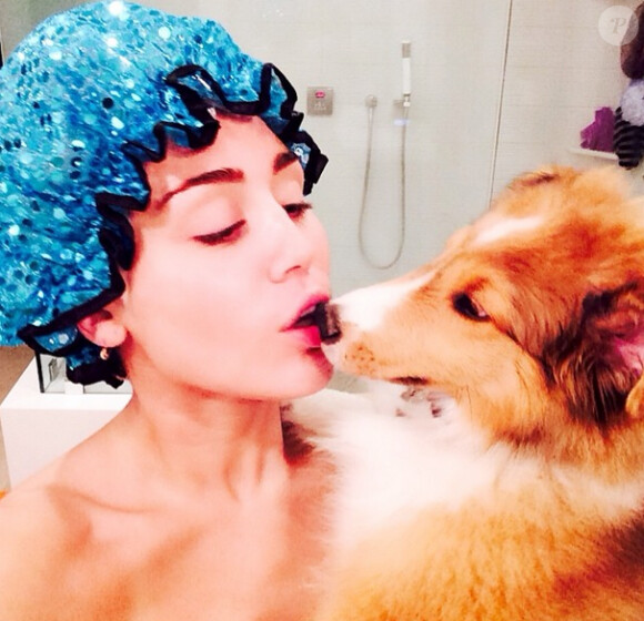 Dévastée par la mort de son chien Floyd (survenue en avril alors qu'elle était en tournée), Miley Cyrus a présenté Emu, son nouveau compagnon à poil, à ses admirateurs le 28 juin 2014.