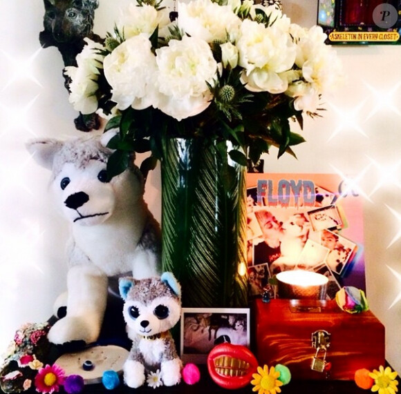 Dévastée par la mort de son chien Floyd, en avril dernier, Miley Cyrus a concocté un petit mausolée pour rendre hommage à son toutou disparu. En juin 2014.