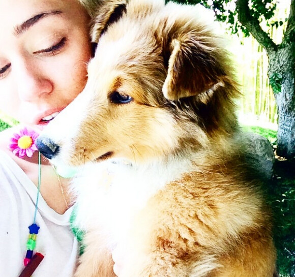 Dévastée en avril dernier par la mort de son chien Floyd, Miley Cyrus a présenté son nouveau compagnon à ses admirateurs le 28 juin 2014.