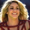 La chanteuse Shakira lors de la finale de la coupe du monde de la FIFA 2014 Allemagne-Argentine à Rio de Janeiro, le 13 juillet 2014.