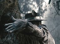 Johnny Depp et Meryl Streep, transformés pour la comédie musicale Into The Woods
