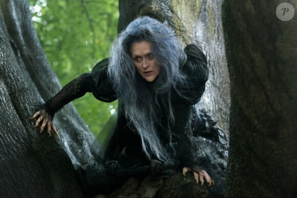Meryl Streep est la Sorcière dans Into the Woods. (Crédit : Walt Disney Pictures)