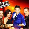 Jenifer, Garou, Florent Pagny et Mika pour The Voice 3, dès le 11 janvier 2014 sur TF1