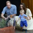  Le prince George de Cambridge au zoo de Tarnga à Sydney en Australie le 20 avril 2014 