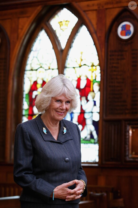 Camilla Parker Bowles, duchesse de Cornouailles, visitait le 15 octobre 2014 l'école Saint Ronan, à Hawkhurst, dans le Kent, ancienne école de son frère Mark Shand, décédé en avril 2014. Elle venait notamment y inaugurer un terrain de sport baptisé Shandy-Ba, surnom de son défunt frère.