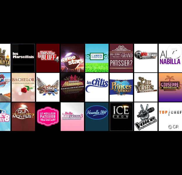 Une vingtaine d'émissions sont nommées aux Lauriers TV Awards 2015.