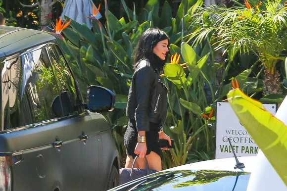 Kylie Jenner rejoint sa famille à Malibu pour un déjeuner au soleil. 29 octobre 2014