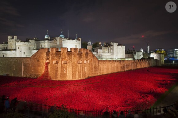 L'installation ''Blood Swept Lands and Seas of Red'' finalisée, comptant 888 246 coquelicots en céramique, signée Paul Cummins à la Tour de Londres, le 11 novembre 2014.